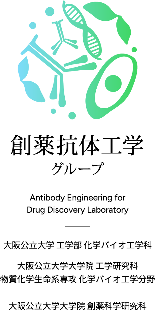 創薬抗体工学グループ-Antibody Engineering for Drug Discovery Laboratory-大阪公立大学工学部化学バイオ工学科　大阪公立大学大学院工学研究科　物質化学生命系専攻科学バイオ工学分野