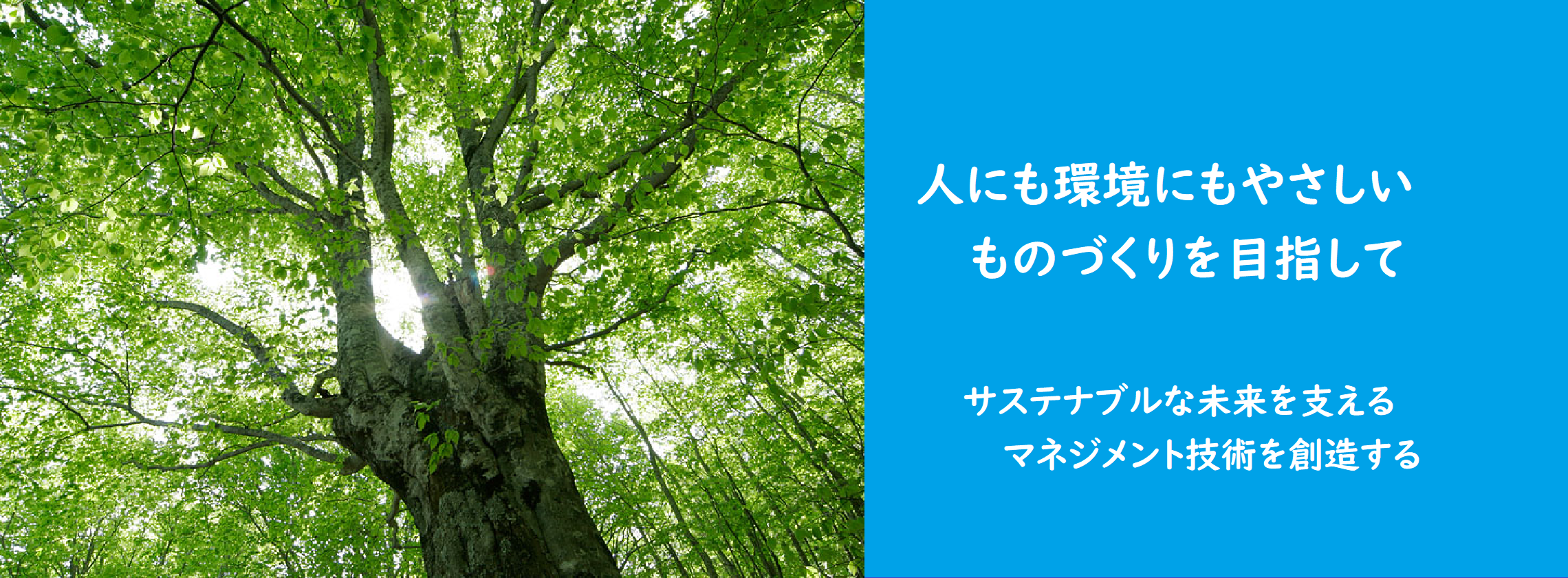 キーフレーズ