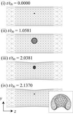 bubble_oscillation_capillary_BEM