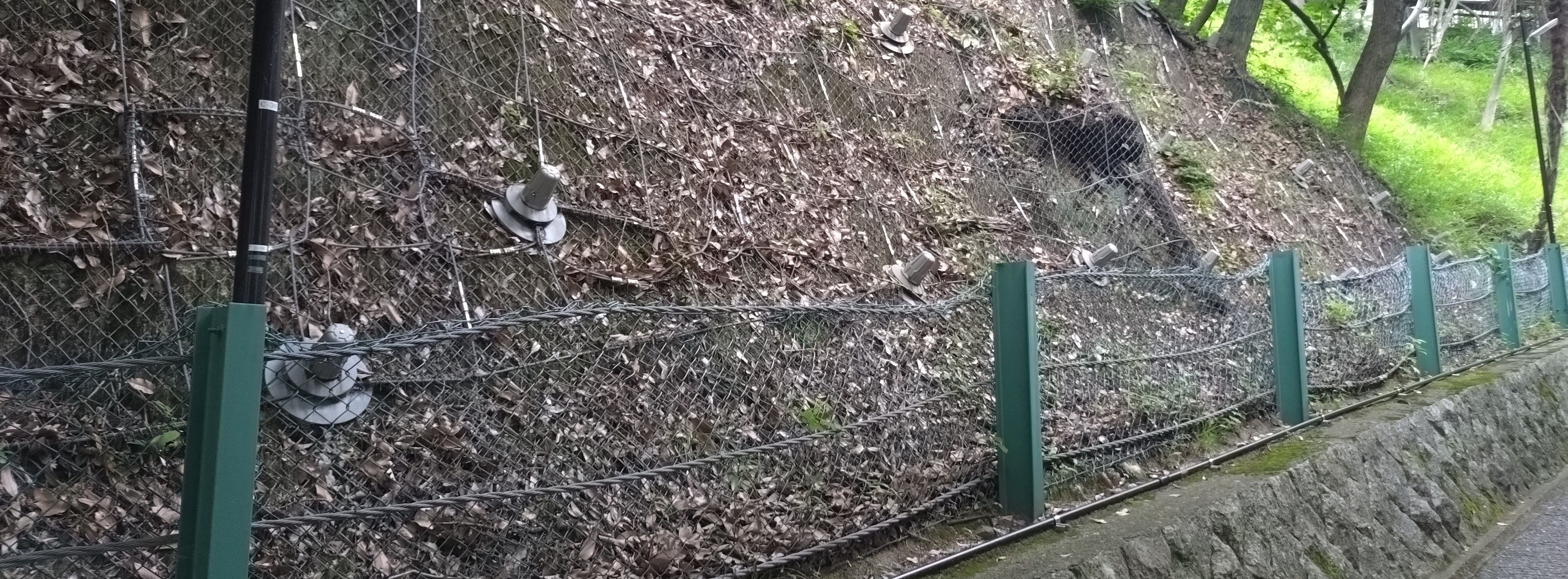 山の斜面