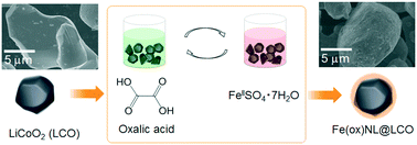 fig26