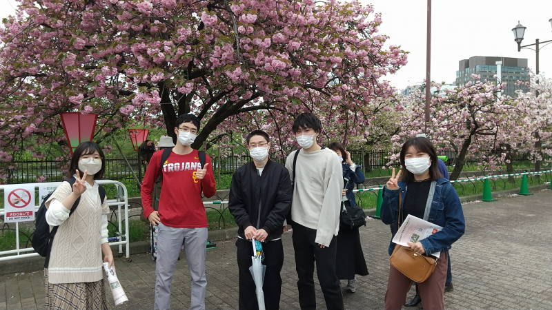 hanami0001