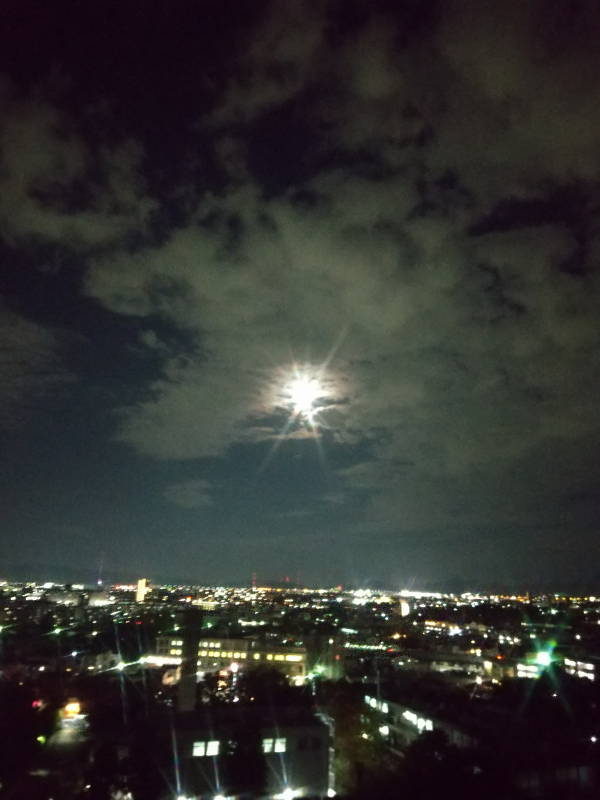 moon0002