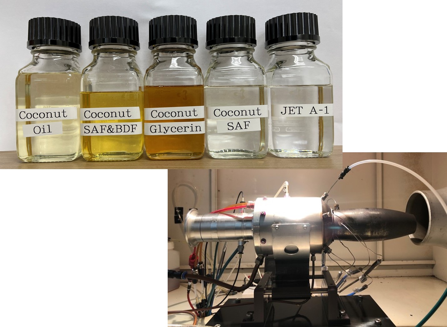 研究内容_バイオ燃料