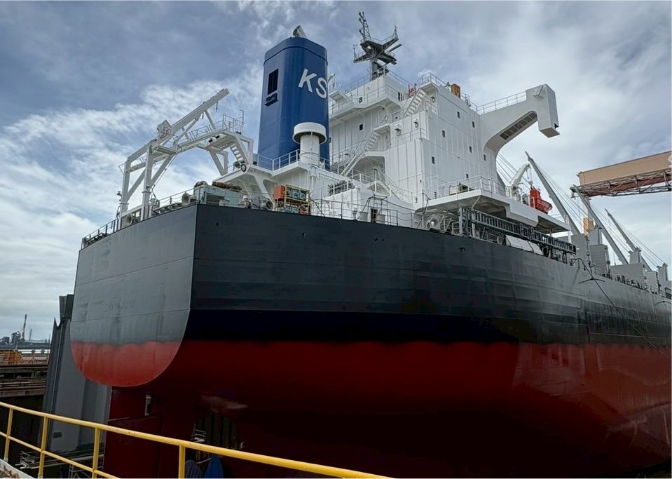 Image1