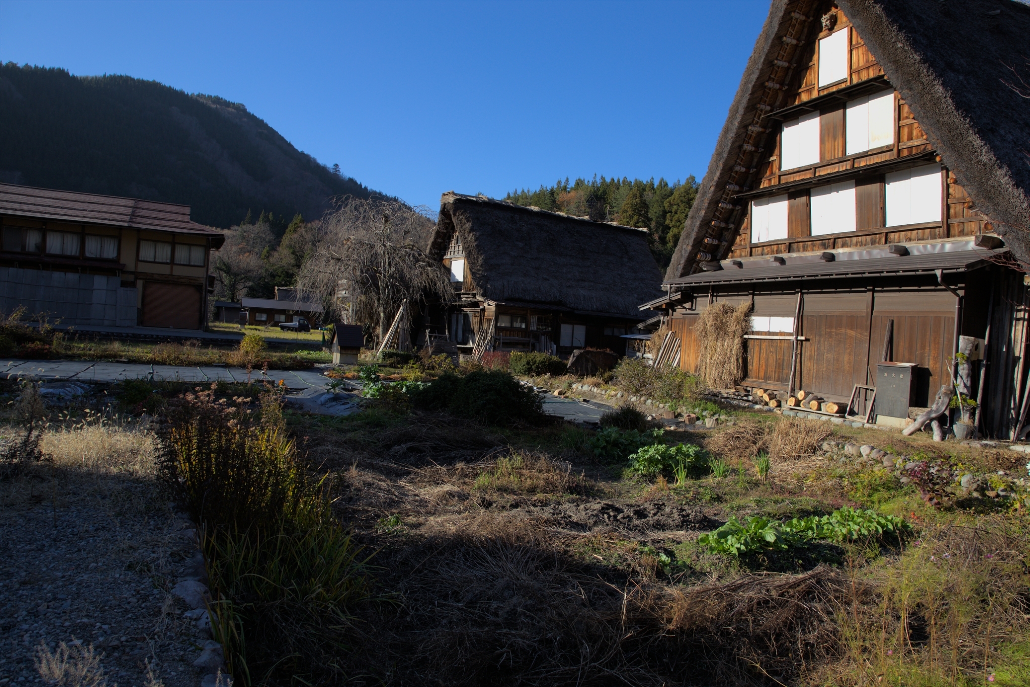 LINE_ALBUM_研究室旅行2022_221209_44
