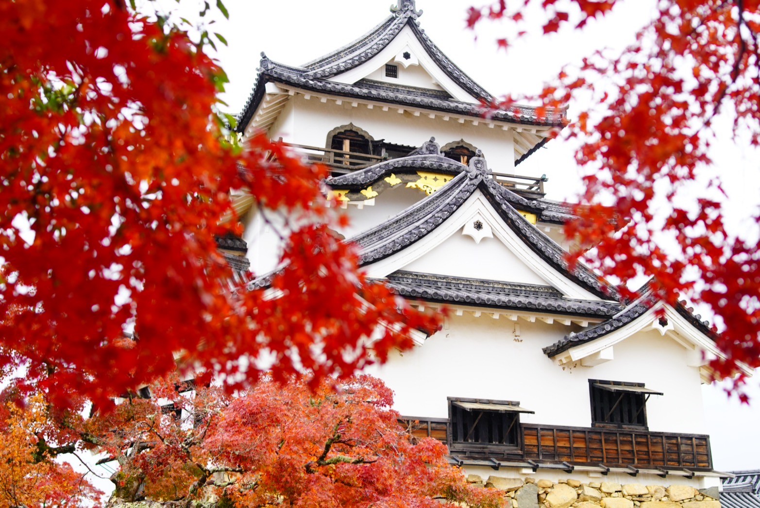 LINE_ALBUM_2日目_241209_5