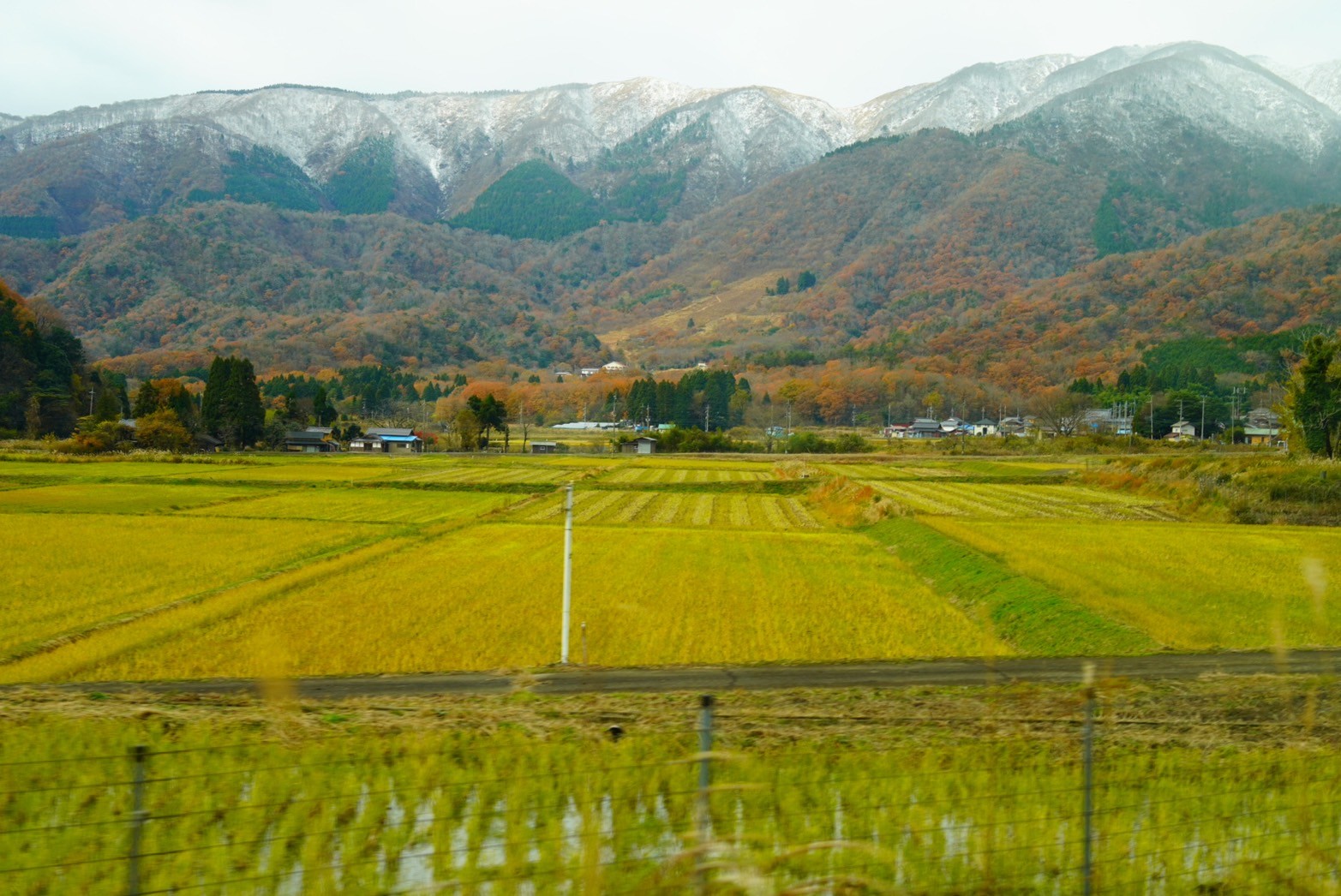 LINE_ALBUM_2日目_241209_7