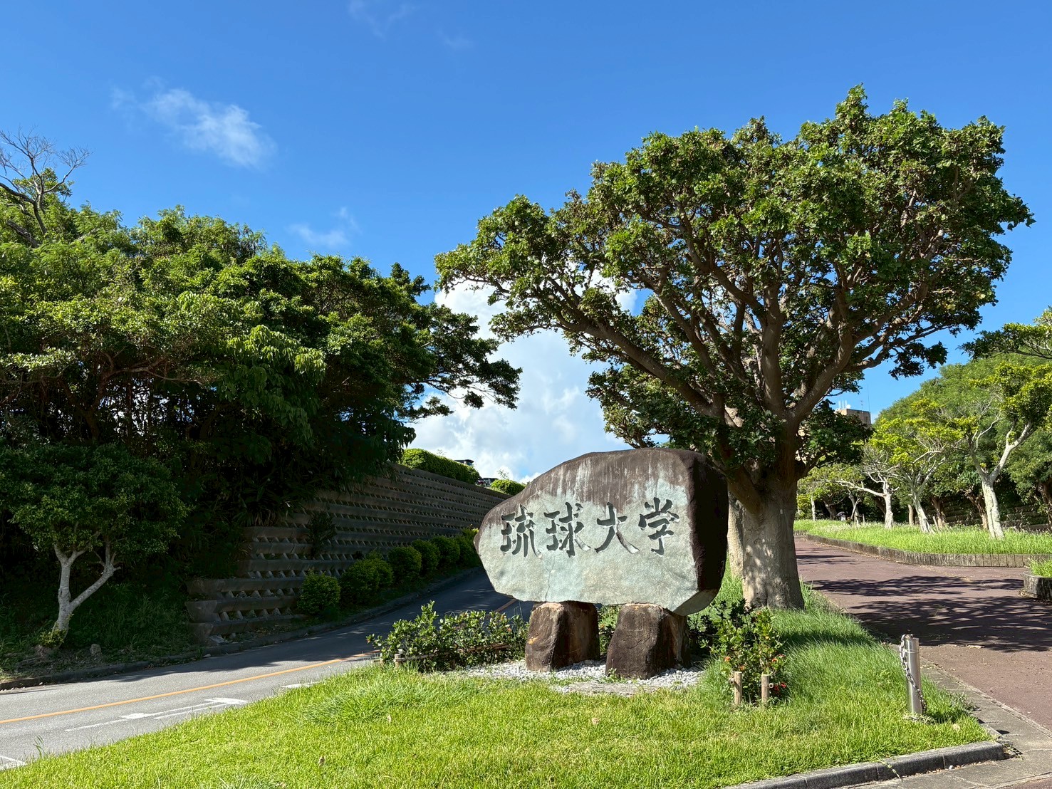 LINE_ALBUM_20250825 2日目_250901_168