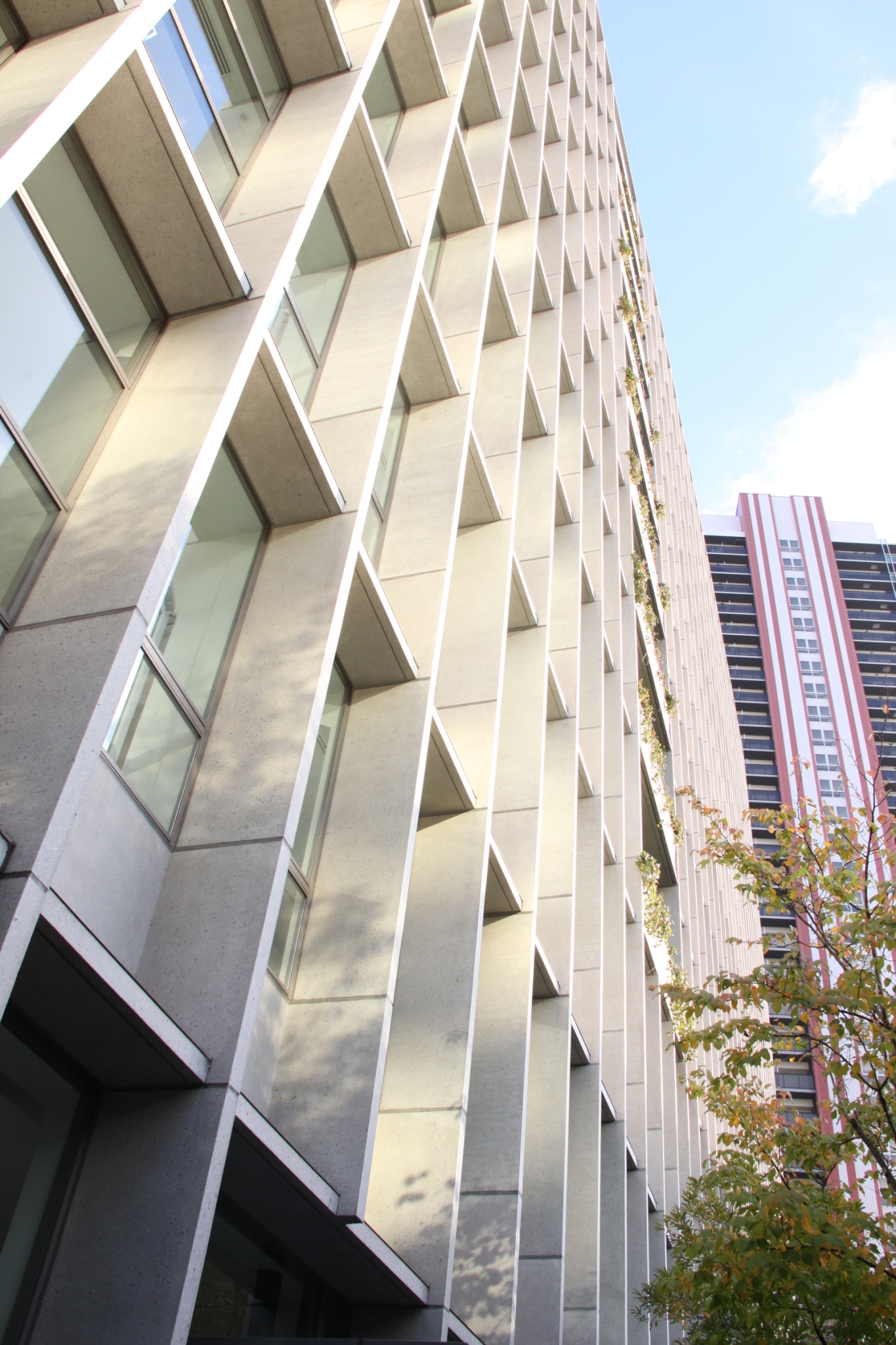 LINE_ALBUM_20251114 前田慎太郎特任助教(テクノラボツアー@アイサイトなんば)_251115_15