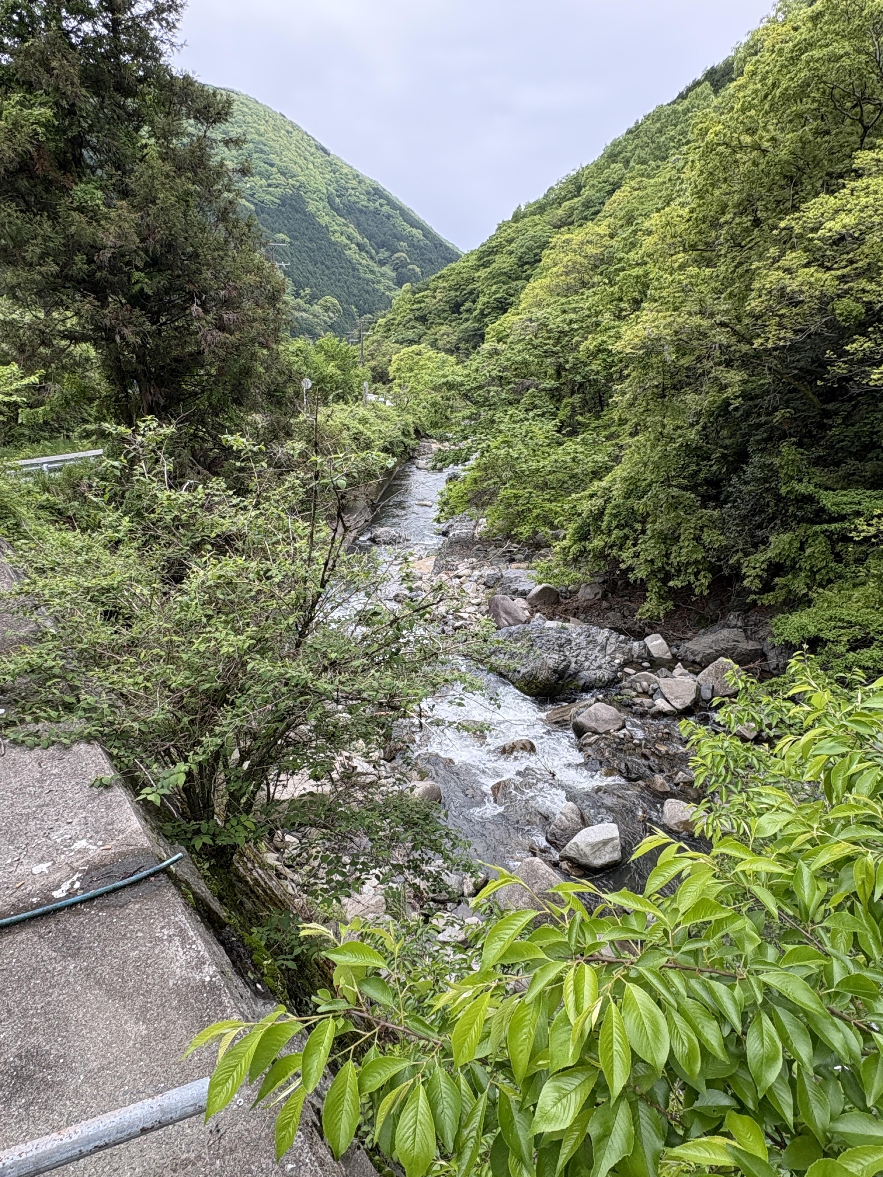 S__23896164_0