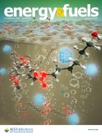 enfuem.2025.39.issue-42.largecover-3.jpg_小