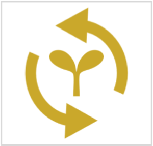 0_icon241115-2