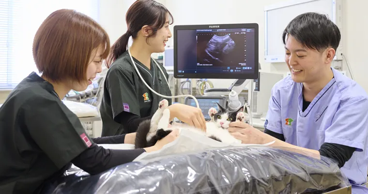 獣医学部・獣医学研究科