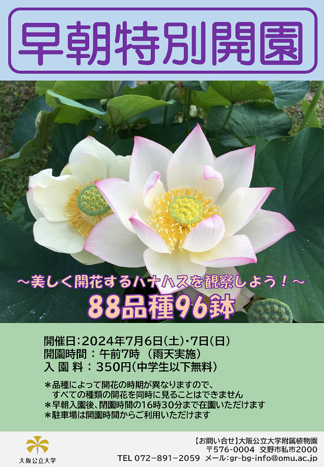 早朝特別開園2024_mid