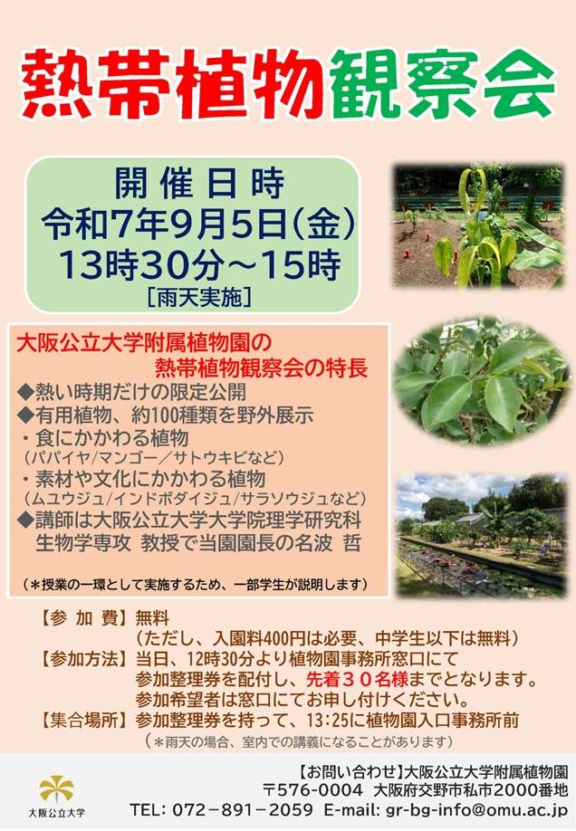 20250905熱帯植物観察会_mid