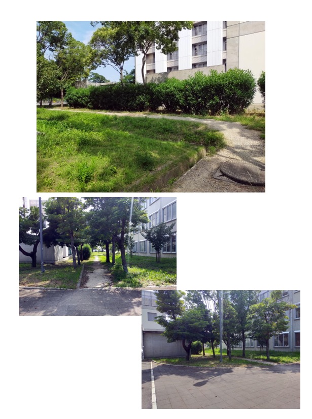 webteianbako2021no14