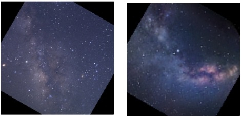 どちらが AI による生成画像かわかりますか?