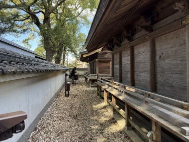 img_act_keitou_01