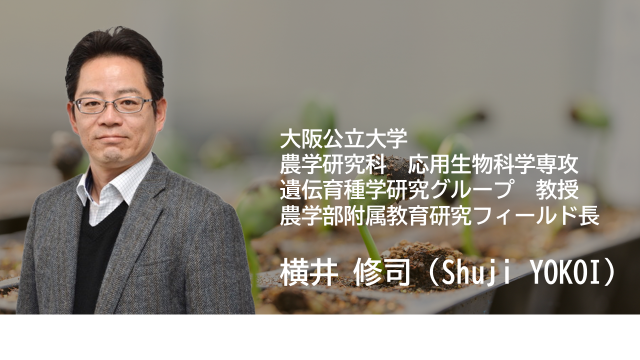 横井先生プロフィール_1