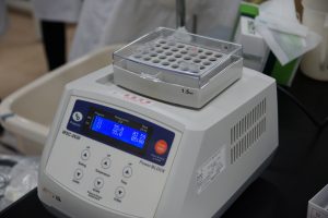 〇DSC09512s-300x200
