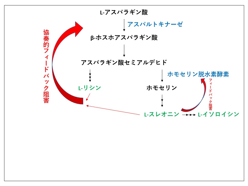【資料】発酵生理学
