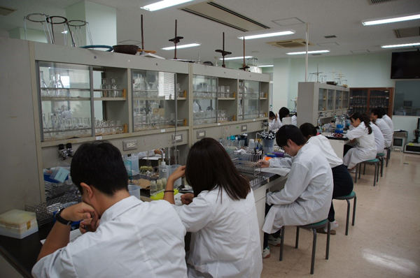 IMG-0012s