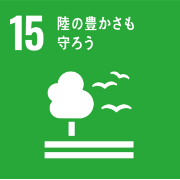 図15