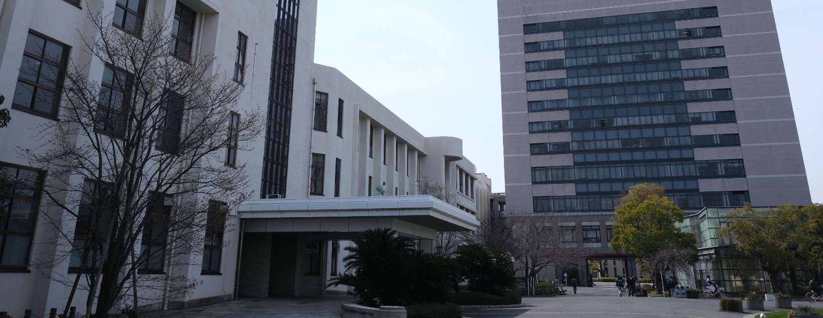 大学院