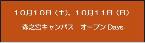 10月オープンDaysスタブ