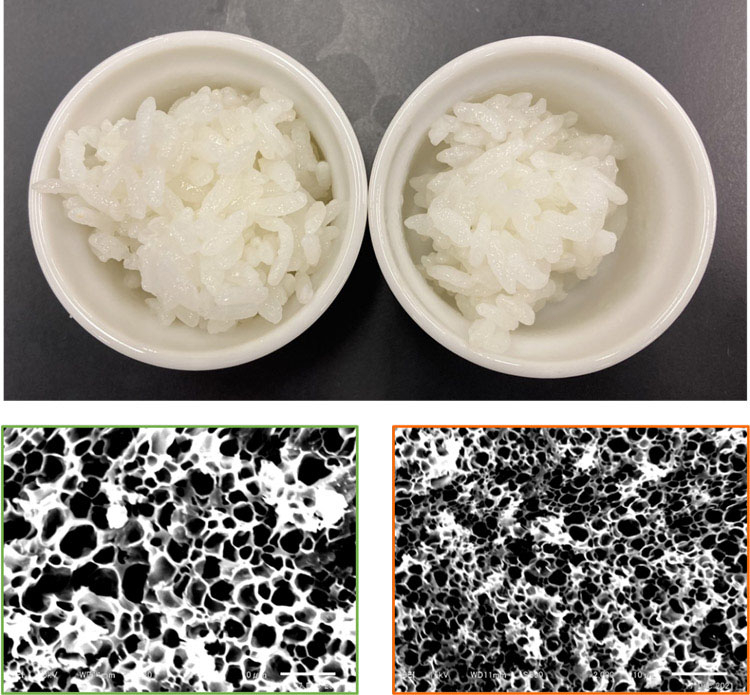 rice_竹中 重雄