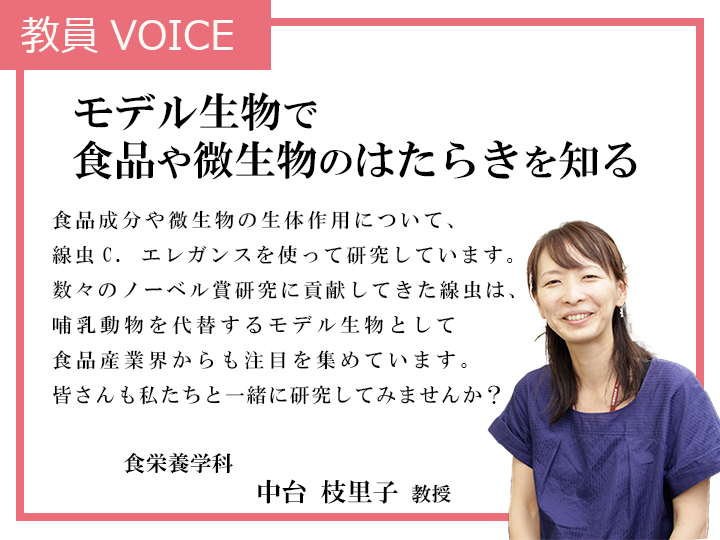 voice_nakadai