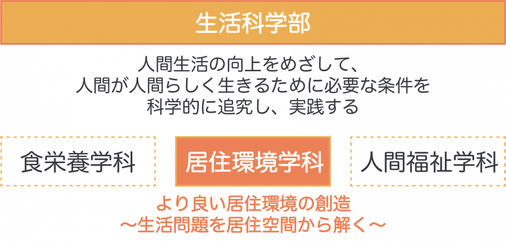 学部の中の居住環境学科