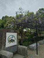 HP1_西大寺
