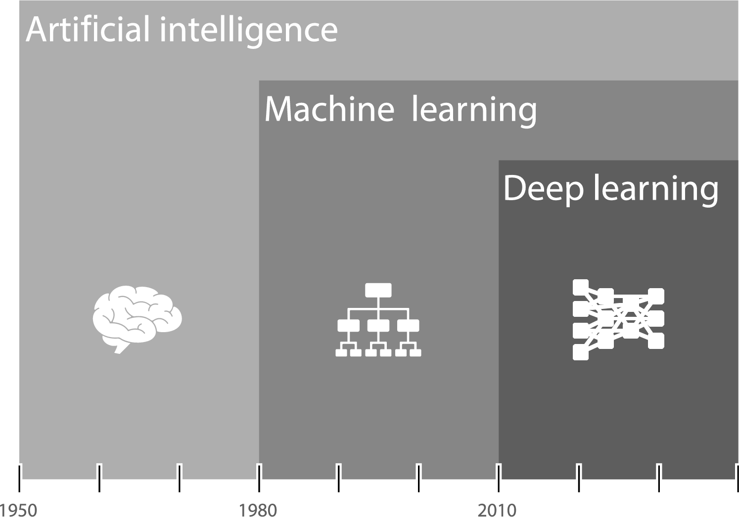 Historical Organization and Proposal of Dataset Terminology in Deep Learning for Medicine