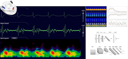 cardiovascular-3