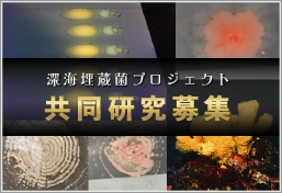 深海埋蔵菌プロジェクト共同研究募集