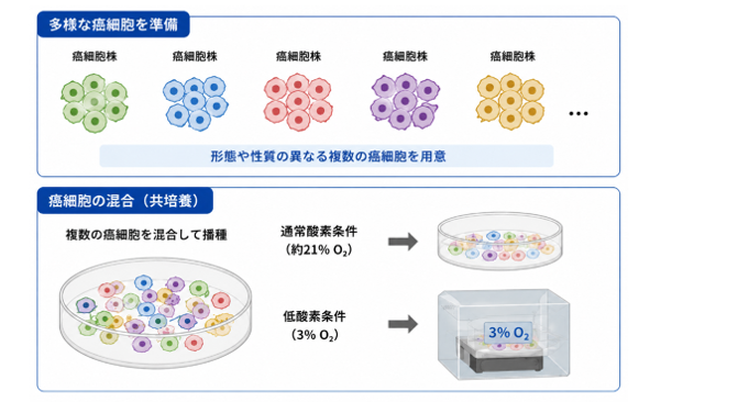 石舘先生図