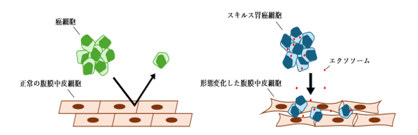 西窪図