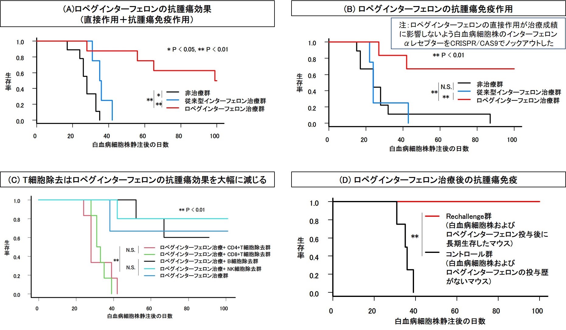 basic_research_1