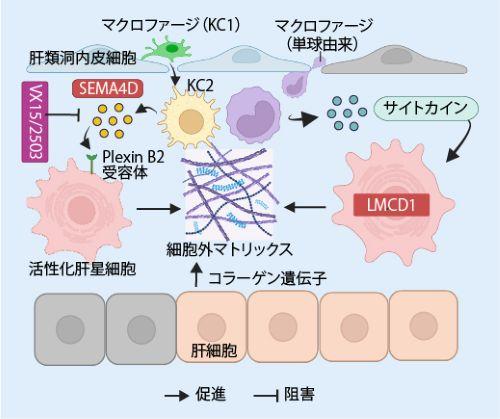プレスリリース サムネイル画像