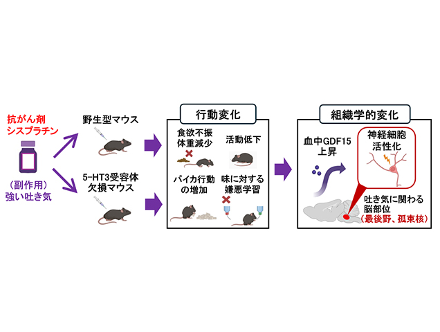 プレスリリース サムネイル画像