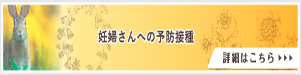 妊婦さんへの予防接種