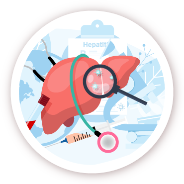 肝臓を診察するイラスト