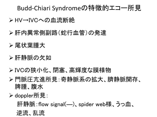 バッドキアリ症候群のエコー像