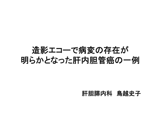 造影エコーで病変の存在が明らかとなった肝内胆管癌の一例