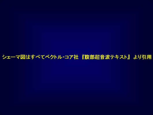 腹部超音波の用語