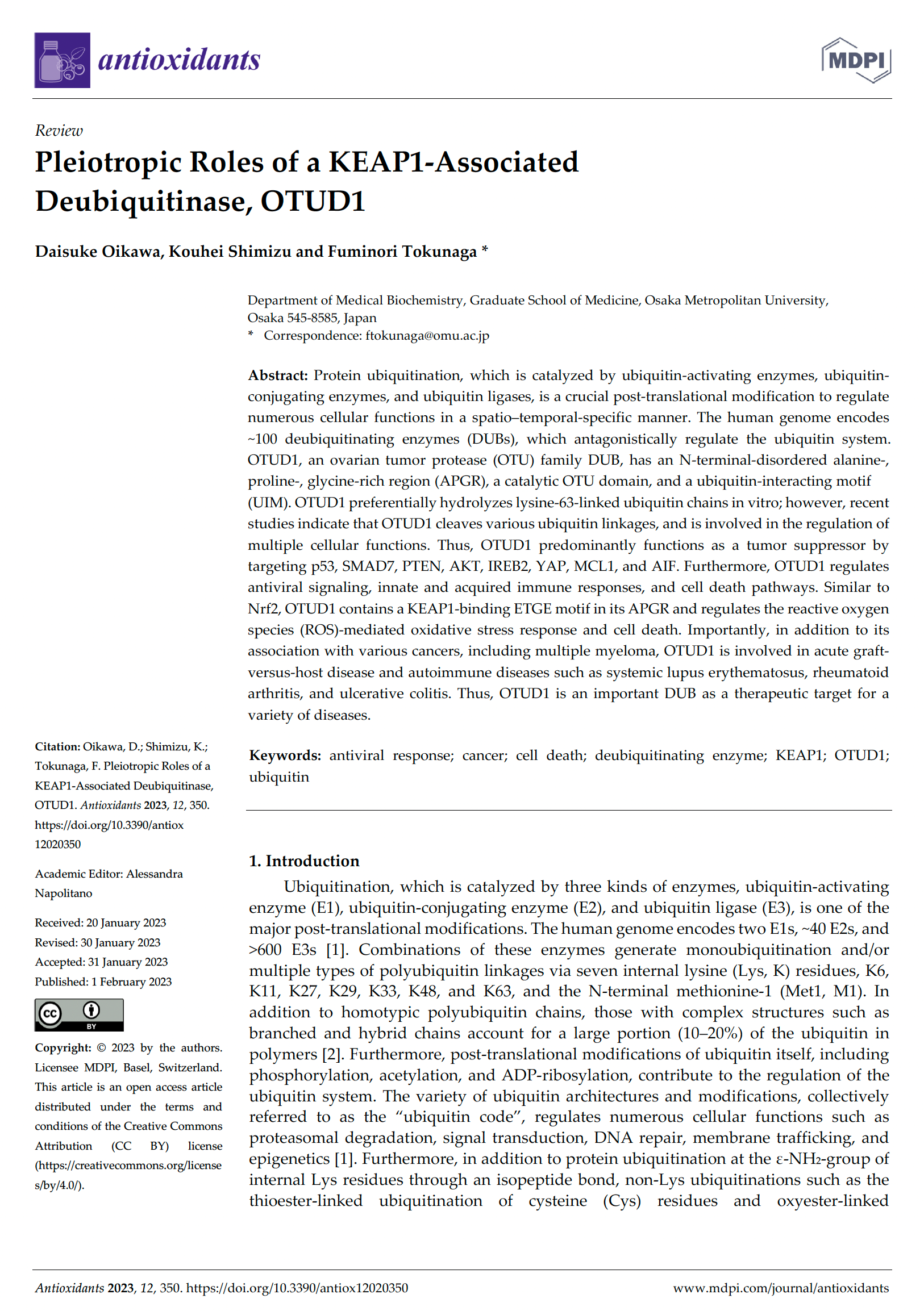 news-20230208Antioxidants(1)