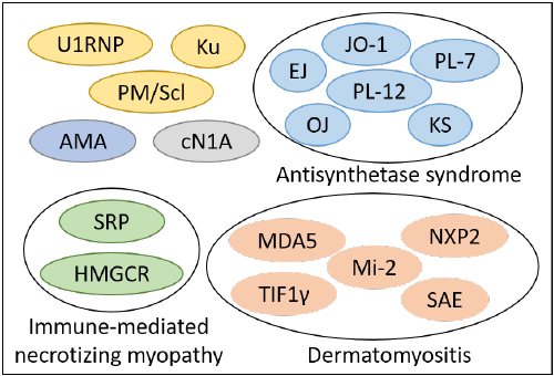 炎症性筋疾患研究