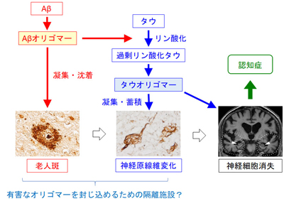 図2.アルツハイマー病の発症機序